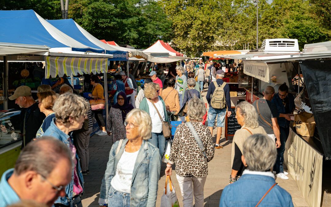 Création d’un guide du consommer local sur le territoire Saône-Beaujolais