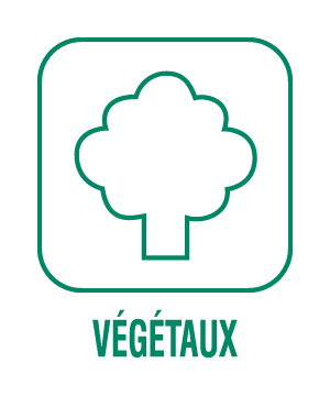 Dechets-vegetaux Benne déchets verts